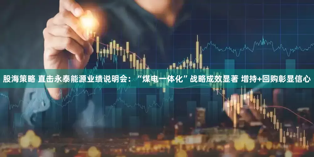 股海策略 直击永泰能源业绩说明会：“煤电一体化”战略成效显著 增持+回购彰显信心