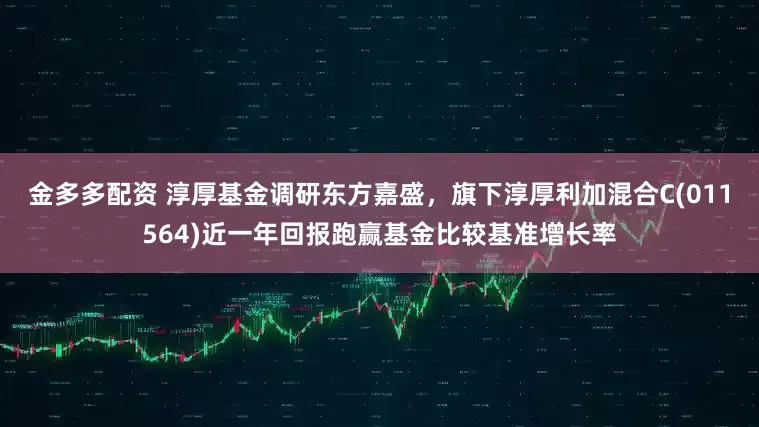 金多多配资 淳厚基金调研东方嘉盛，旗下淳厚利加混合C(011564)近一年回报跑赢基金比较基准增长率