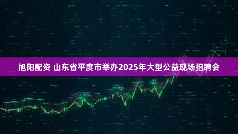 旭阳配资 山东省平度市举办2025年大型公益现场招聘会