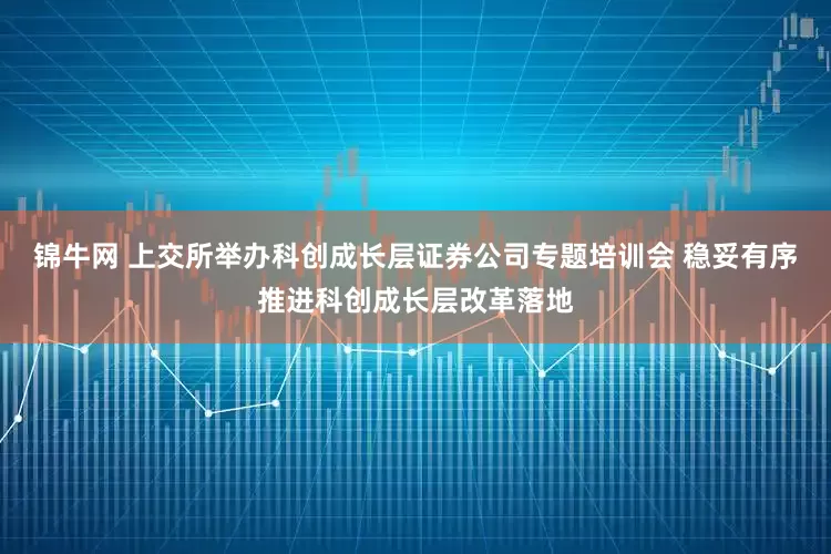 锦牛网 上交所举办科创成长层证券公司专题培训会 稳妥有序推进科创成长层改革落地