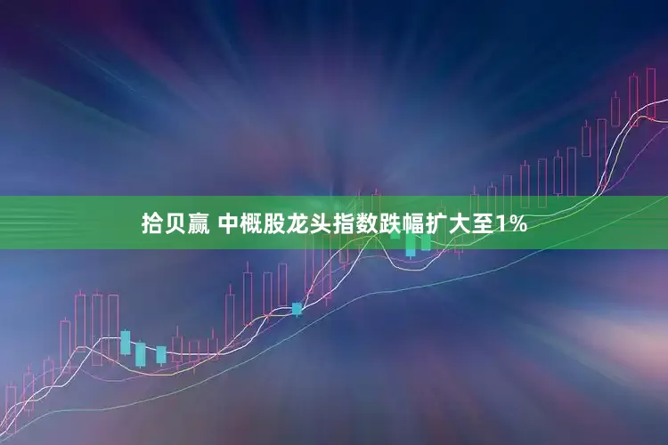 拾贝赢 中概股龙头指数跌幅扩大至1%